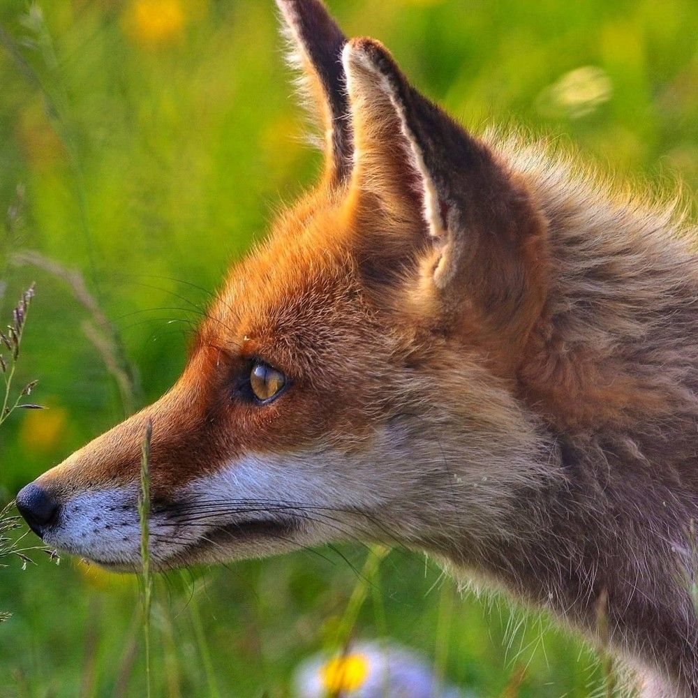 Photograph by Hell Boy