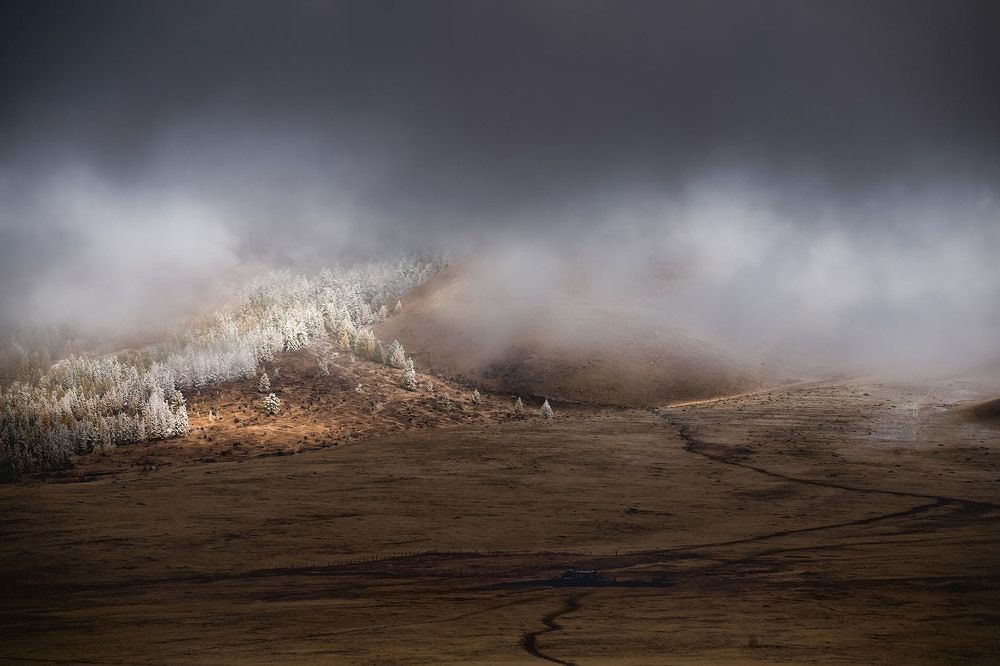 Photograph by Алексей Вымятнин