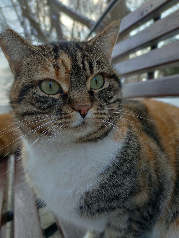 Photograph by Оксана Губанова