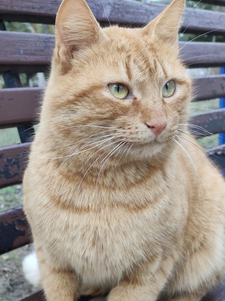 Photograph by Оксана Губанова