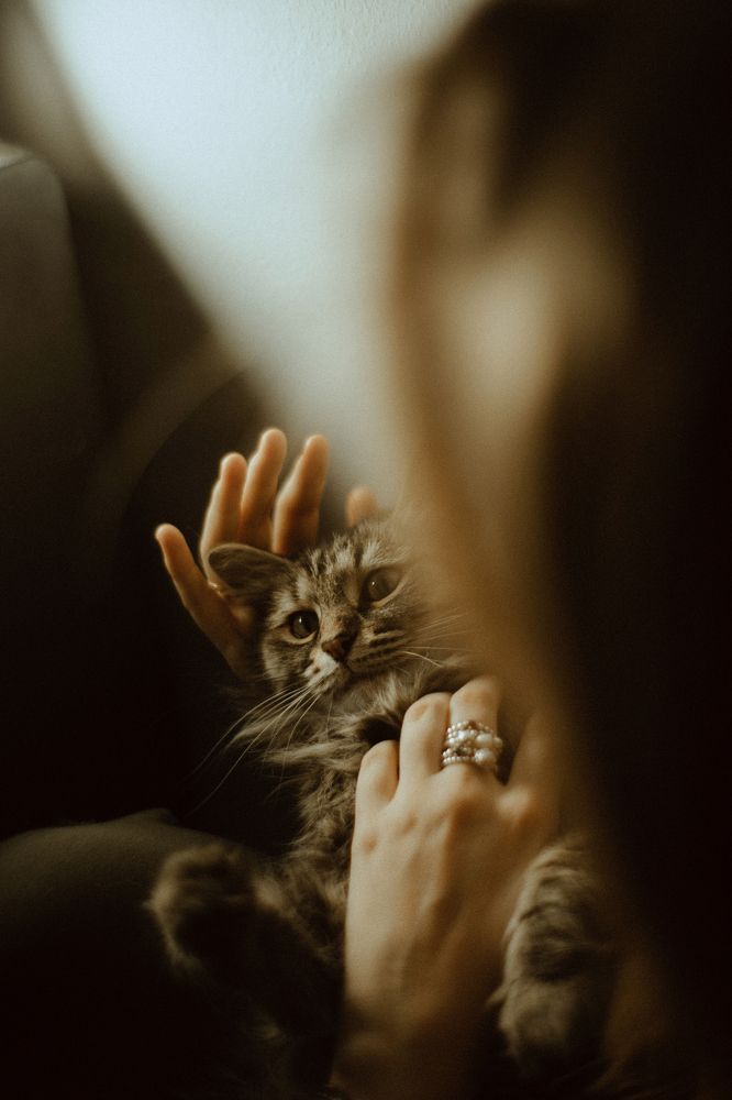 Photograph by Валерия Трушина