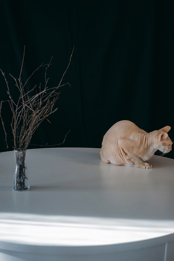 Photograph by Валерия Трушина