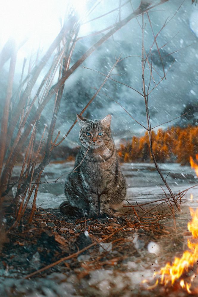 Photograph by Валерия Трушина