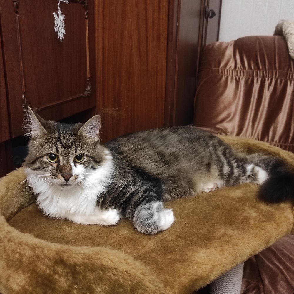 Photograph by Татьяна Перепелкина