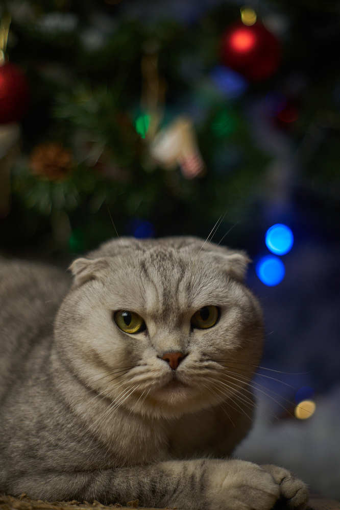 Photograph by Виктория