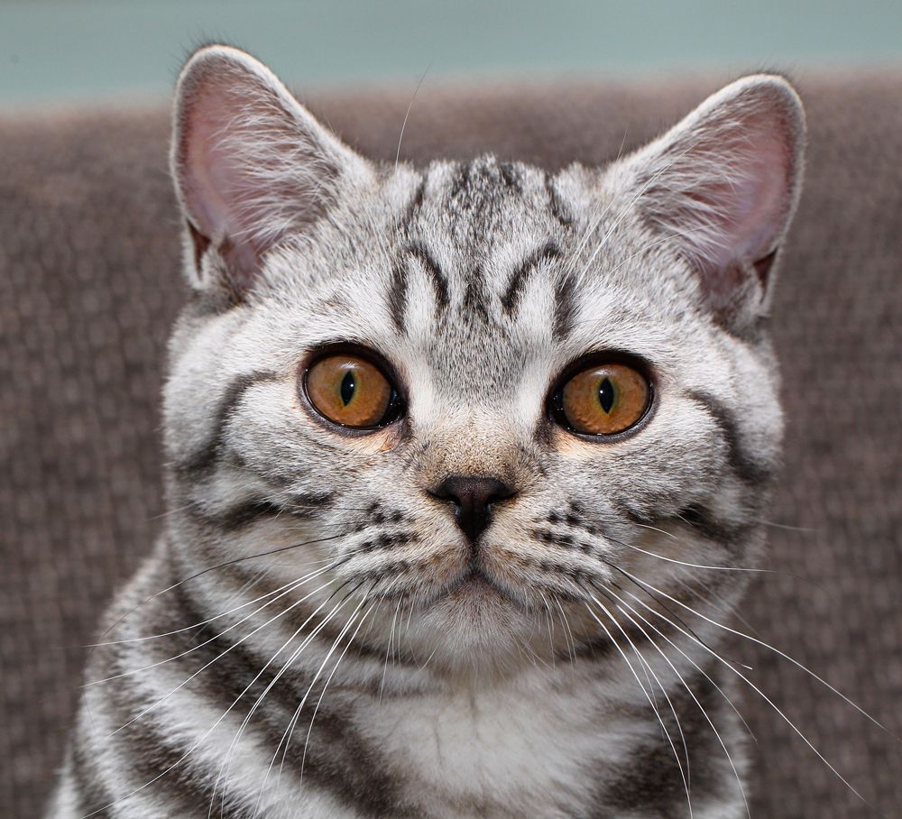 Photograph by Шмидт Юрген