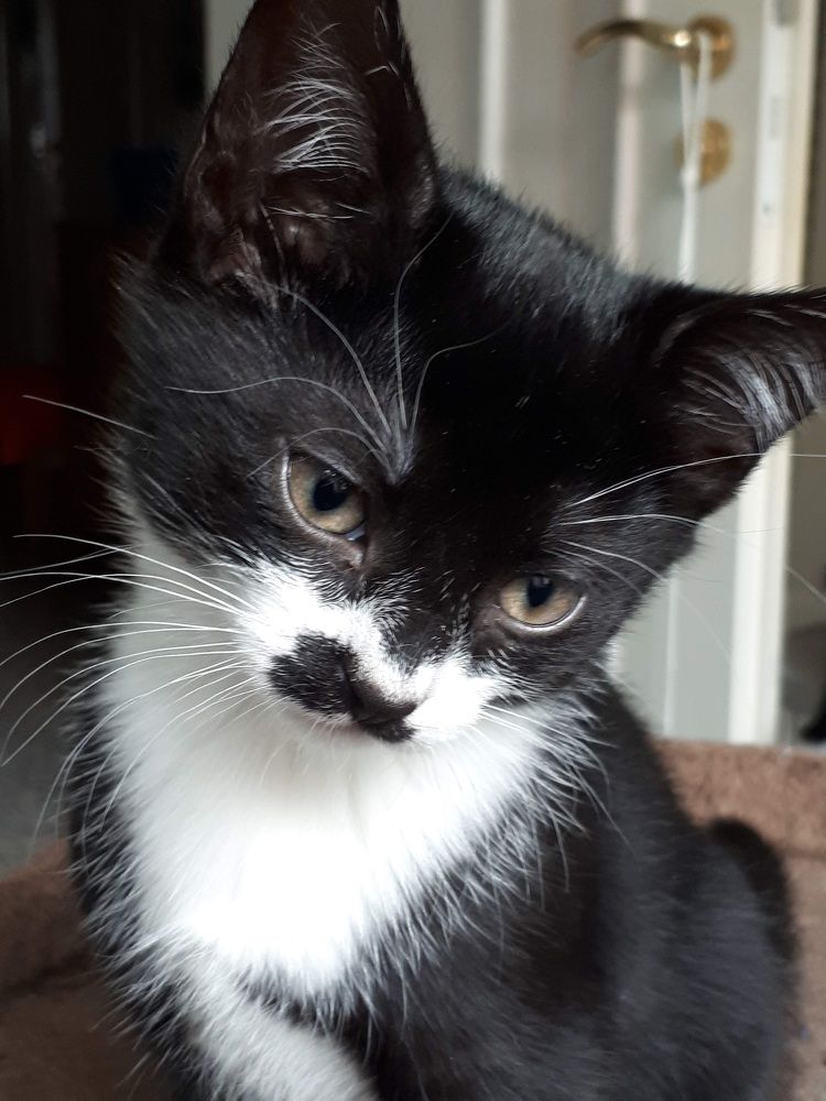 Photograph by Оксана Губанова