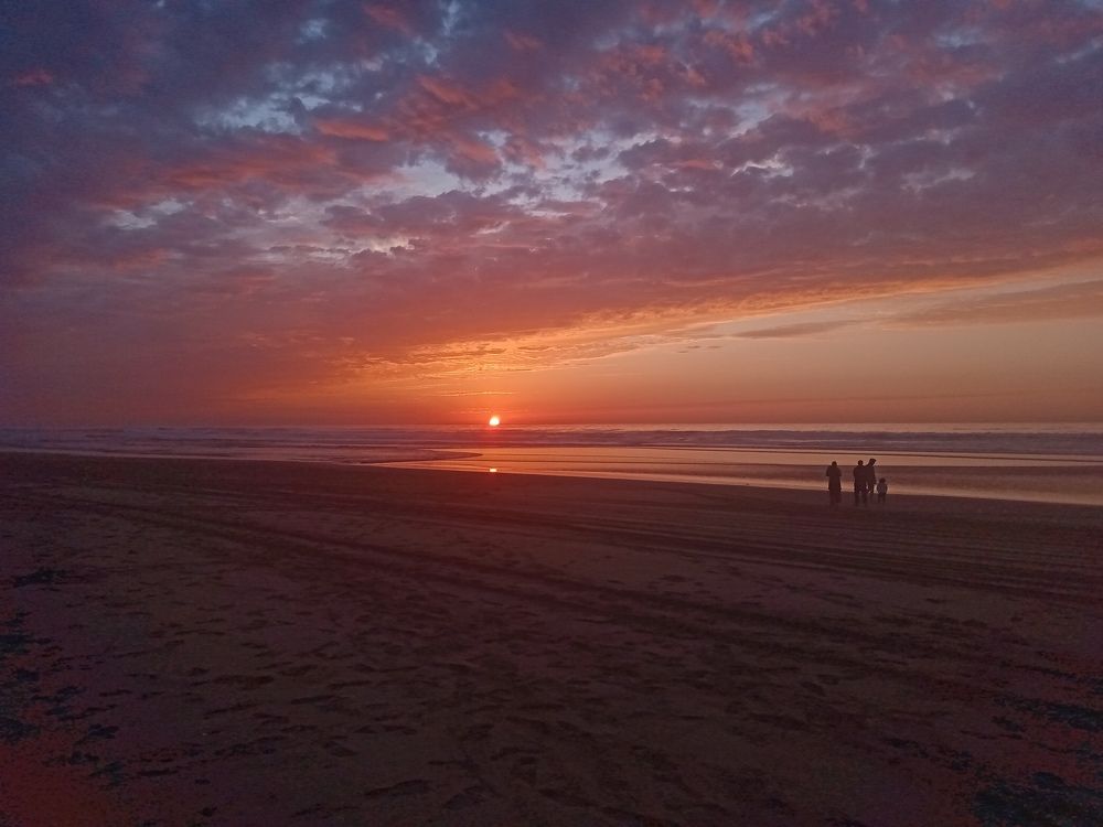 Photo #8822295