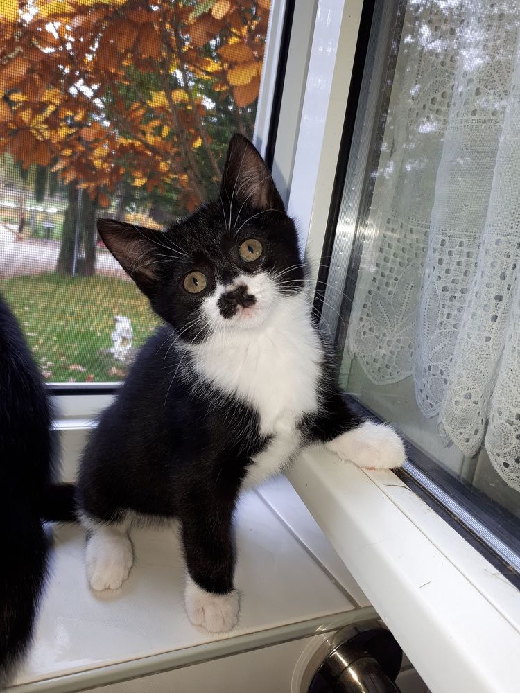 Photograph by Оксана Губанова