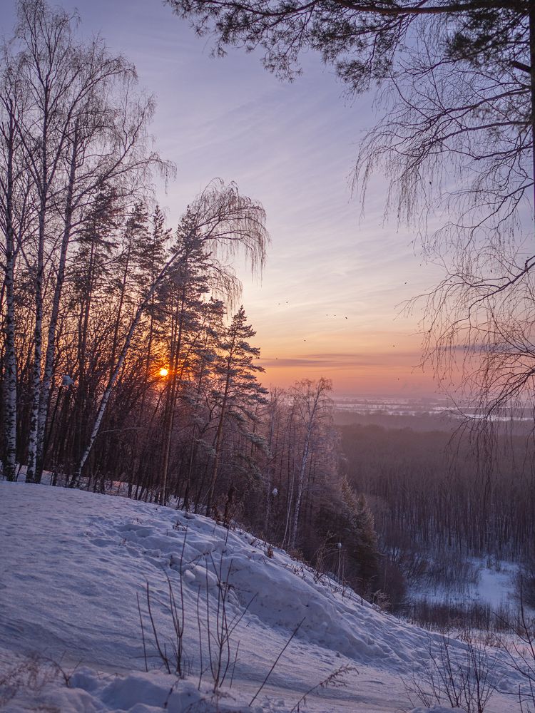 Photograph by Larisa Usova