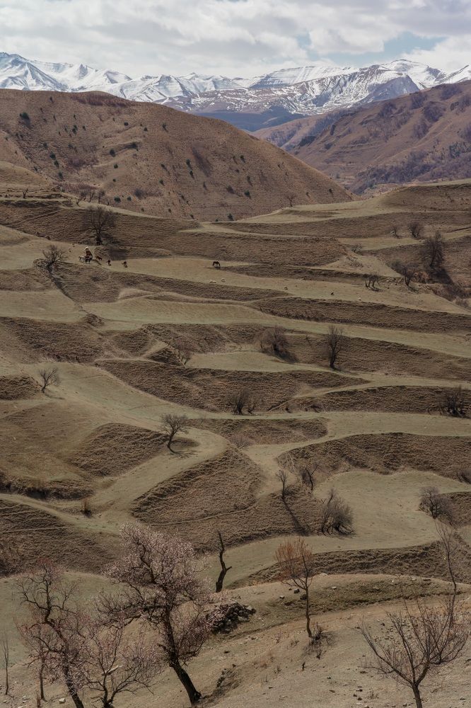 Photograph by Анастасия Рыбалко