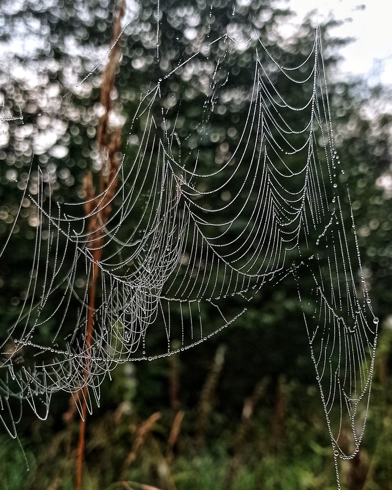 Photograph by Ольга Третьякова