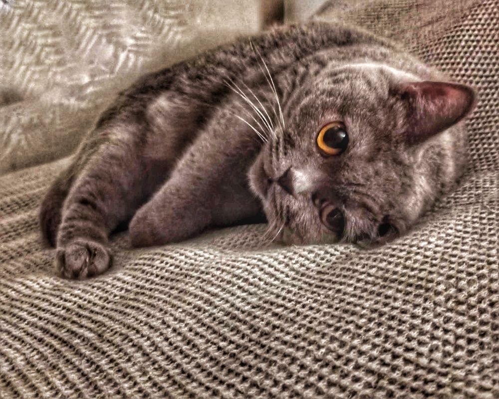 Photograph by Ольга Третьякова