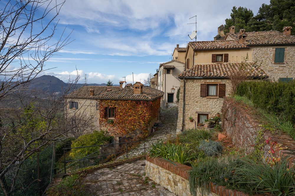 Photograph by Максимова Дария