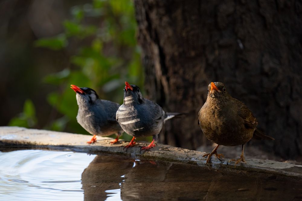 Photograph by MAYANK VERMA