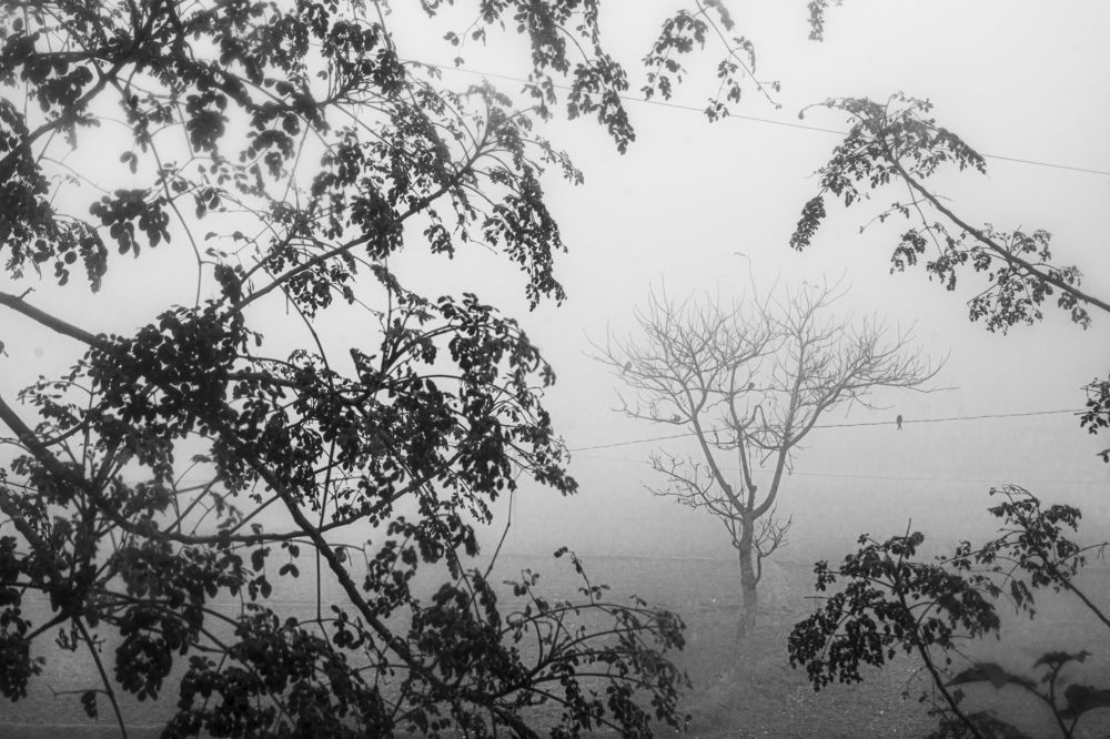 Photograph by Ayman Nakib