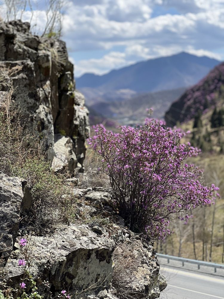 Photograph by Марина Куимова