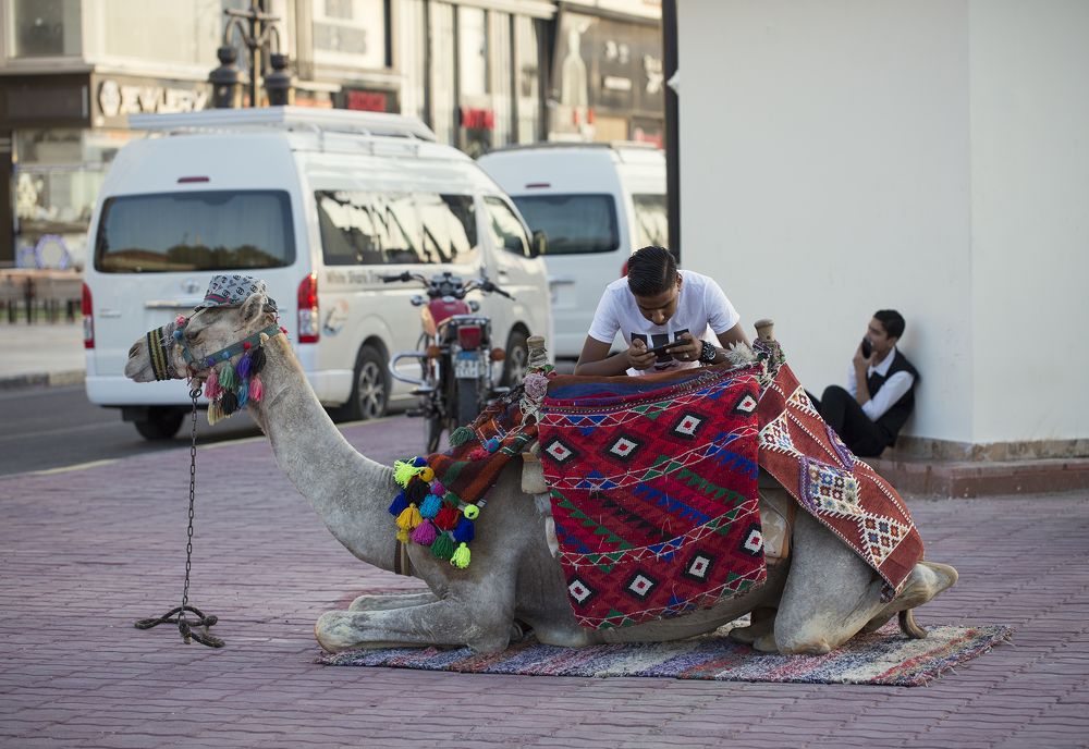 Люди, гаджеты и транспорт. Минута отдыха.