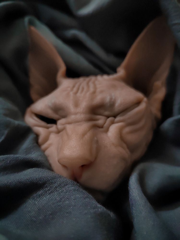 Фотография автора Наталья Королева