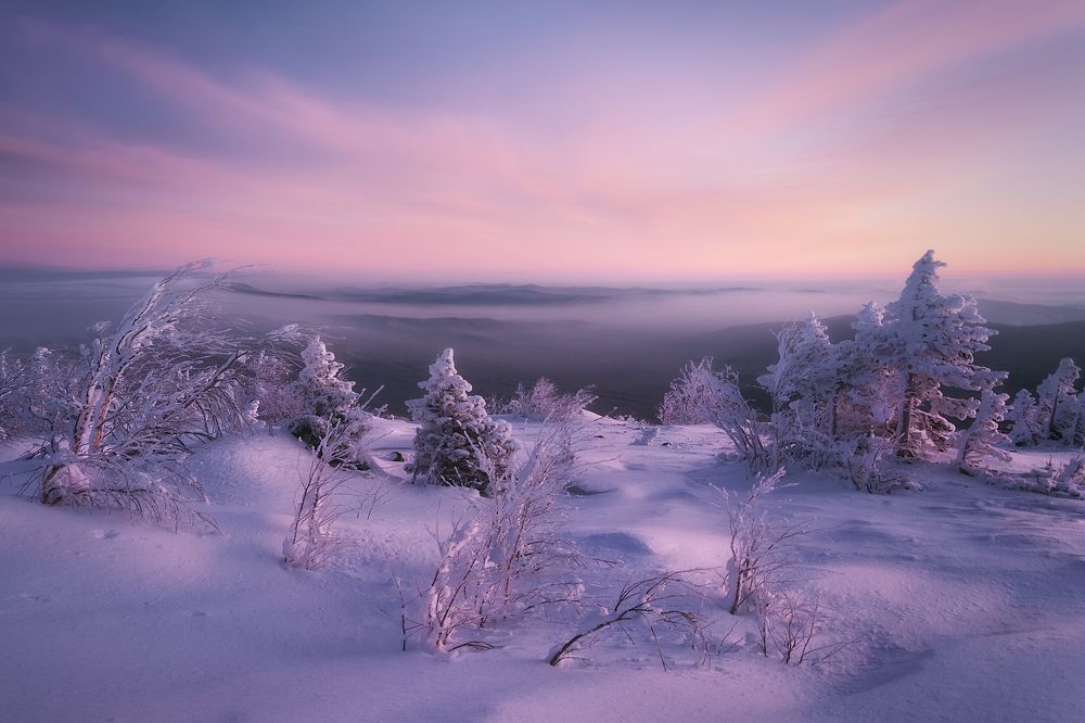 Рассвета полет..