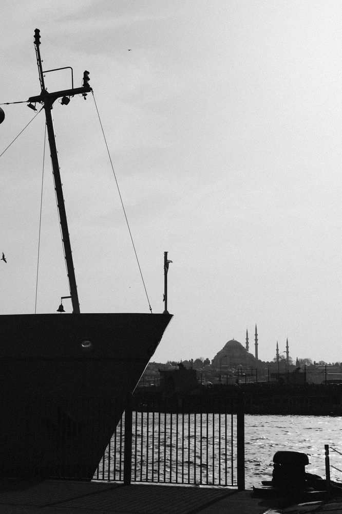 Photograph by Анна Бахтиярова