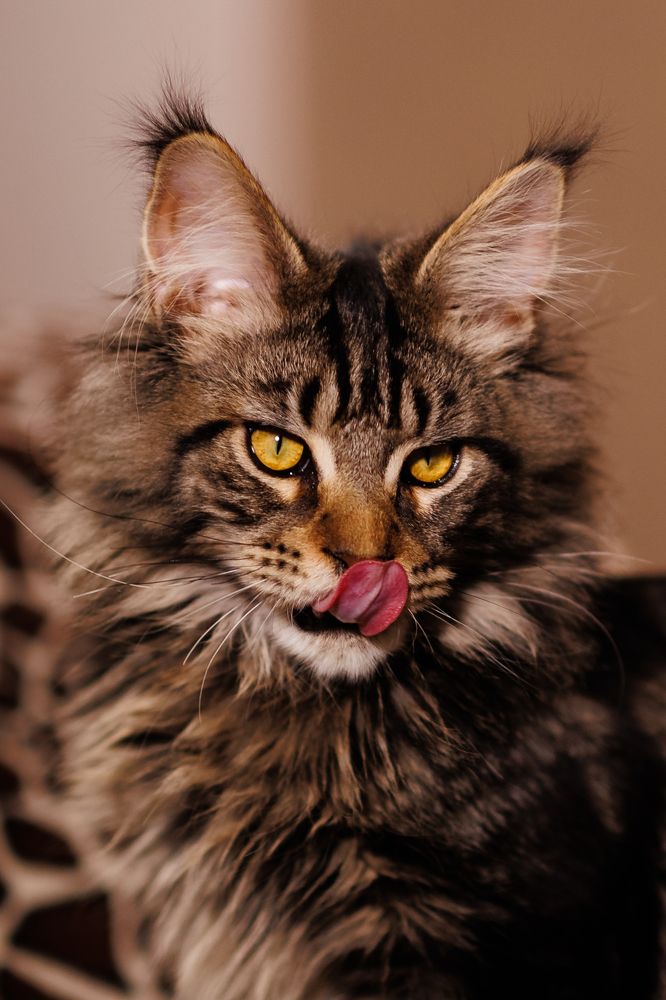 Photograph by Просолович Наталия Евгеньевна