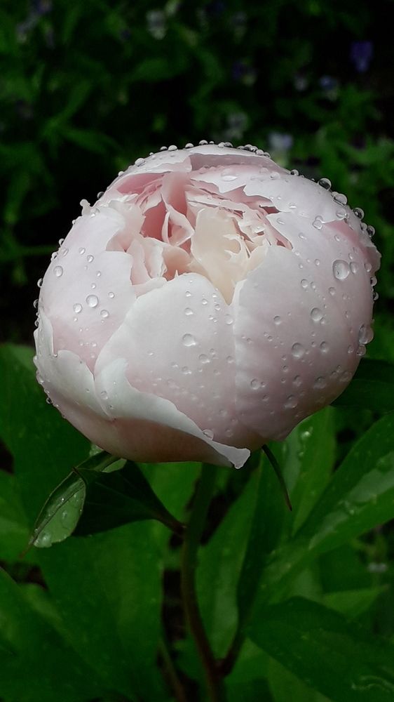 Photograph by Татьяна Солтан