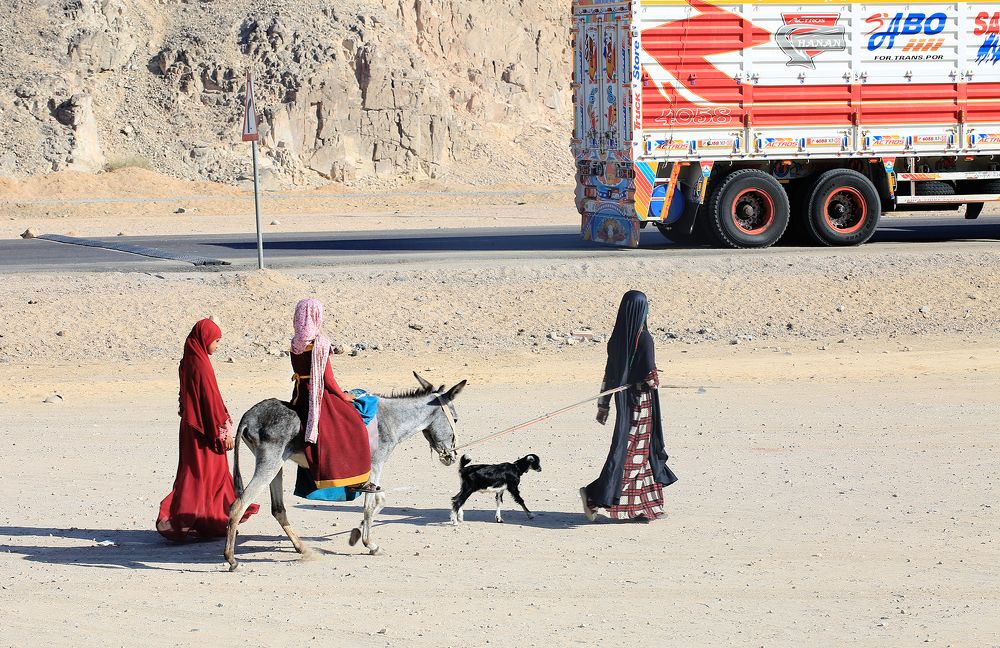 Утреннее путешествие