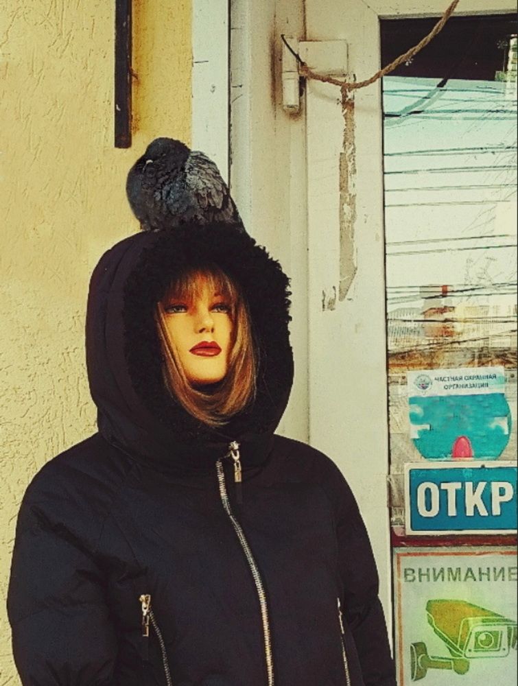 Photograph by Роман Новиков