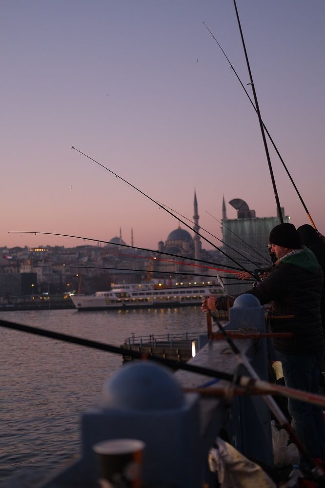 Photograph by Анна Бахтиярова