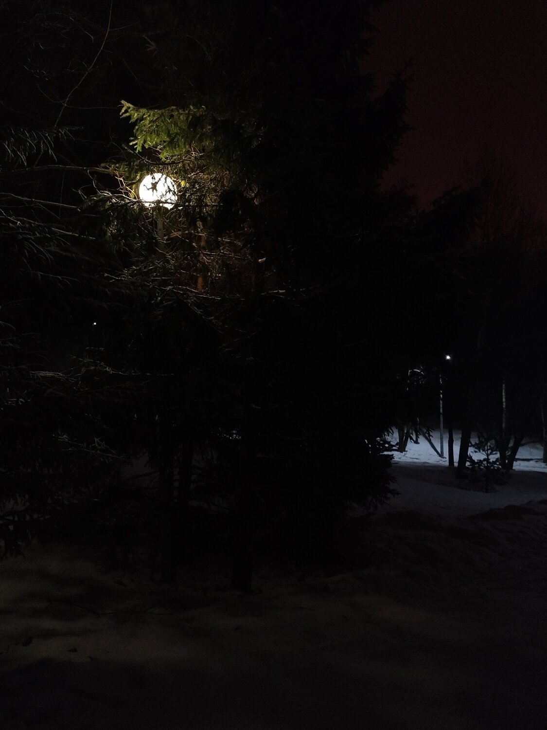 Photo #8822844