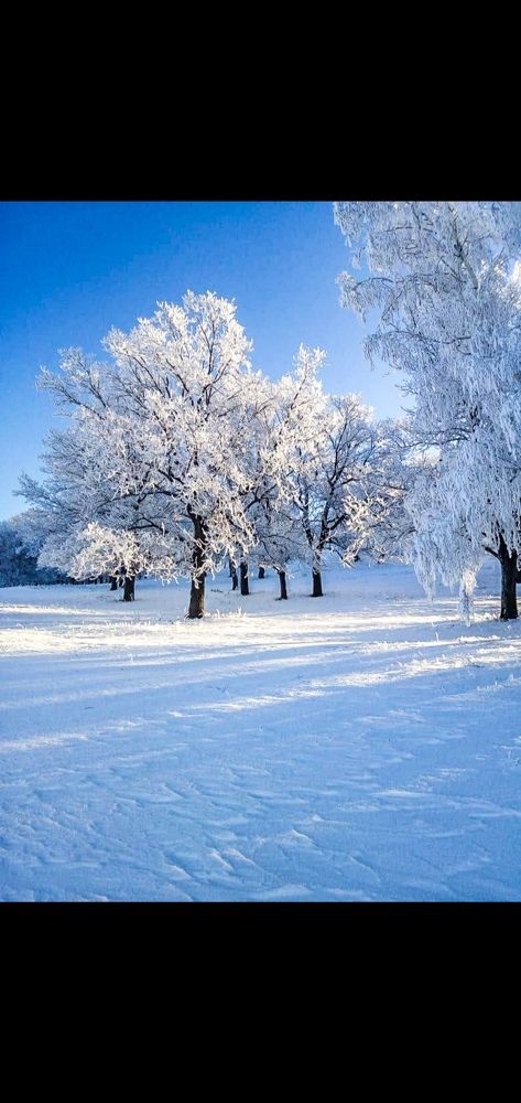 Фотография автора Жанна