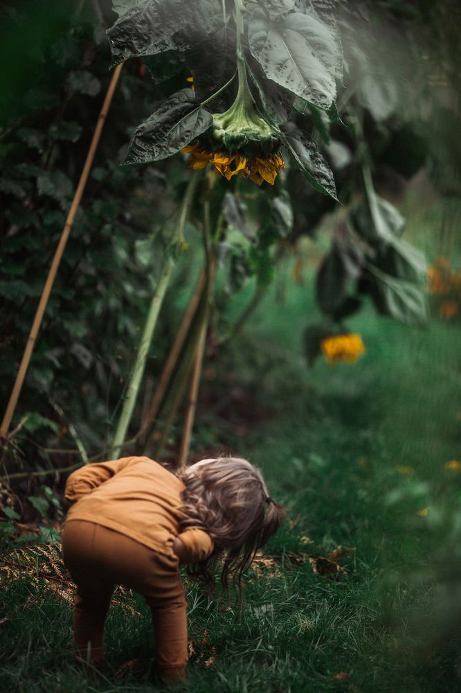 Подсолнух и улыбки