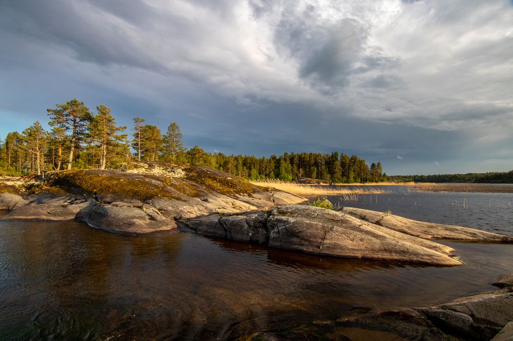 Фотография автора Nadezhda Okorokova