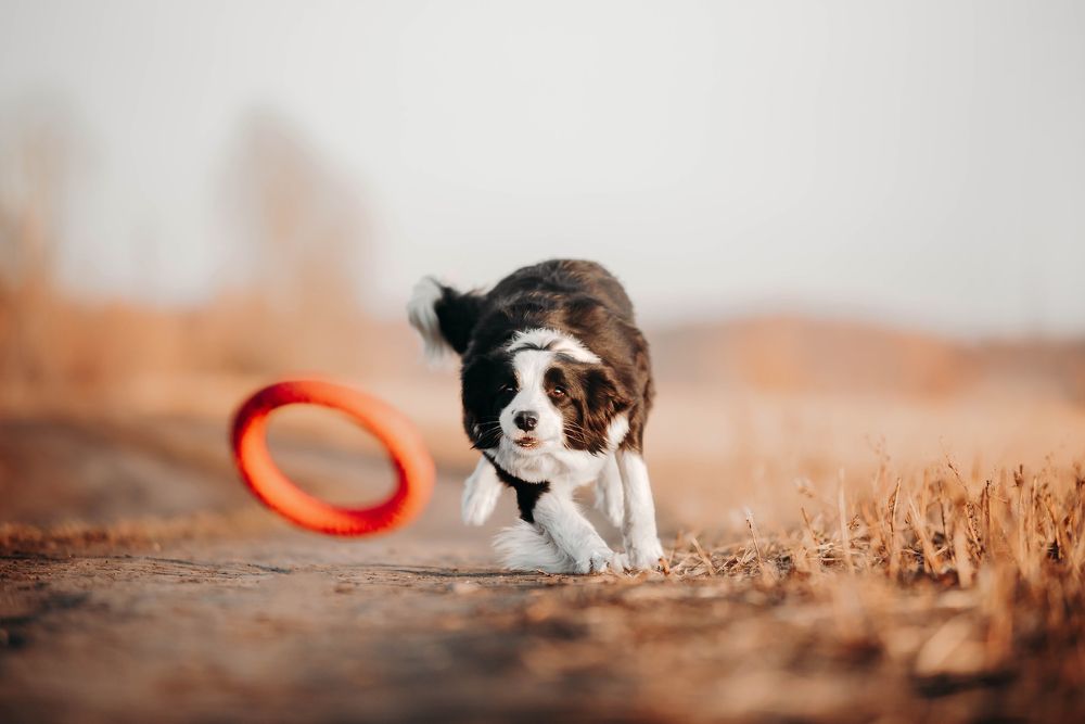 Photograph by Измайлова Ксения