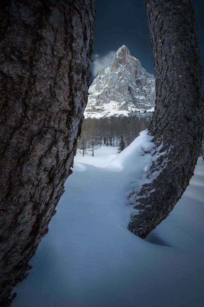 Photograph by Riccardo Morresi