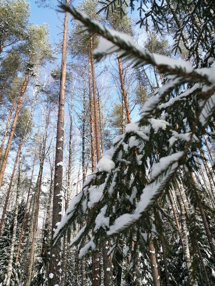 Photograph by Галина Смирнова