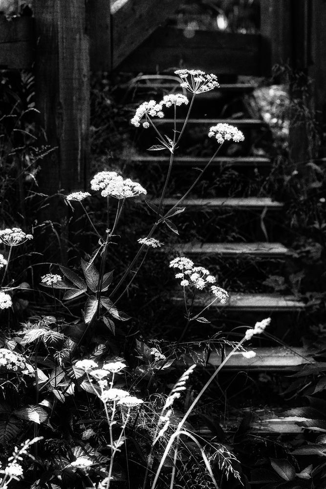 Photograph by Владимир Штыриков