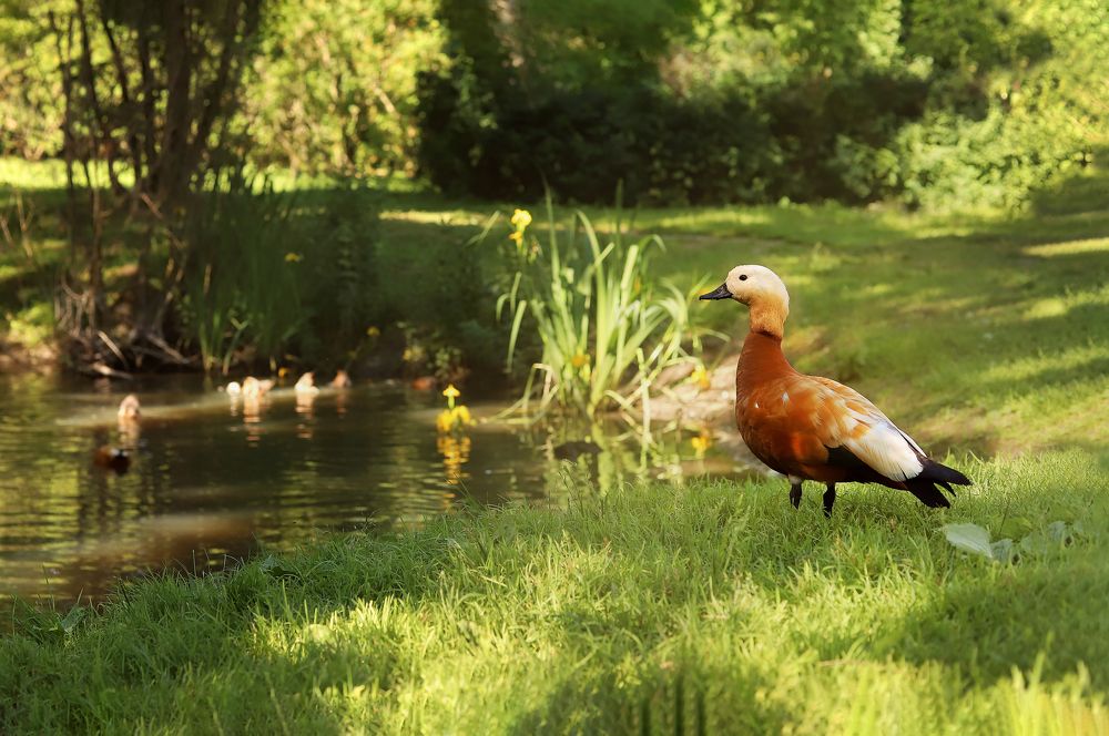 Photograph by Mary Ryzhenkova