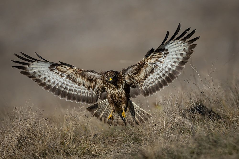 Photograph by Nikolay Stoyanov