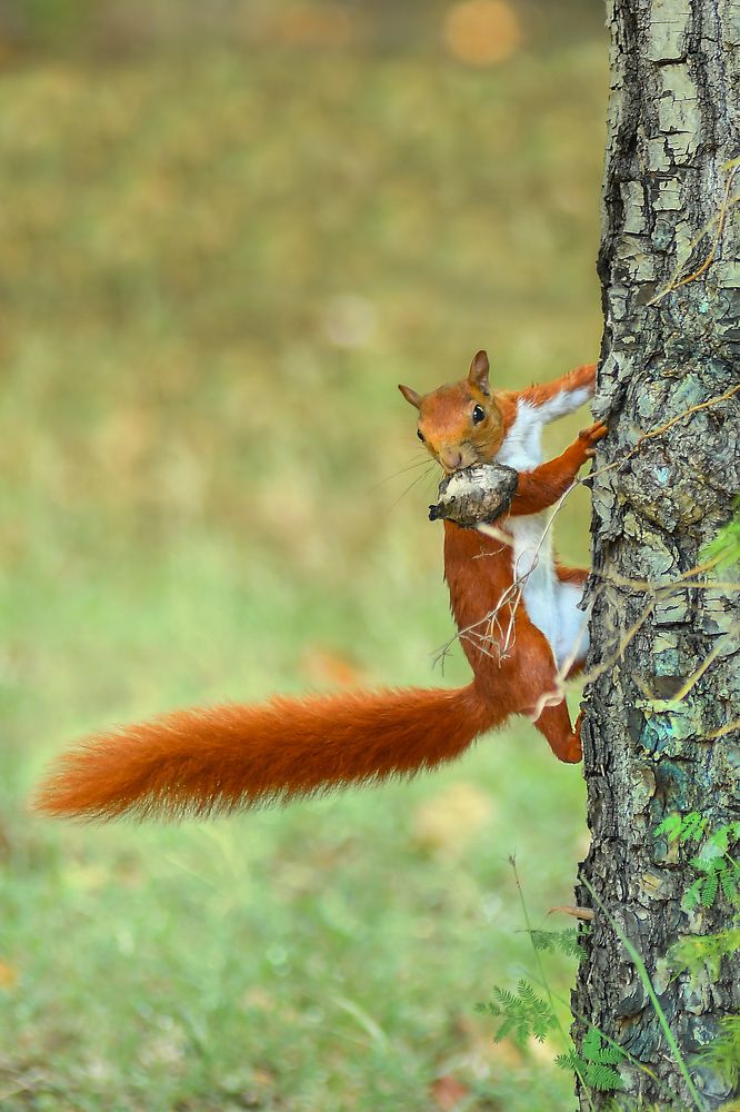 Photograph by David Suarez