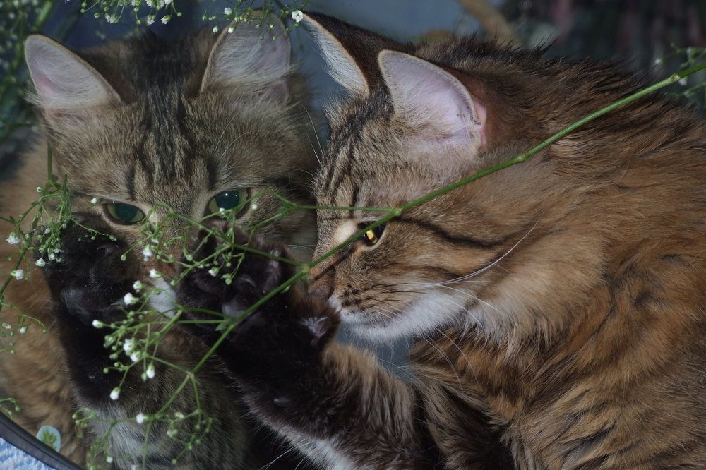 Photograph by Зотин Артём