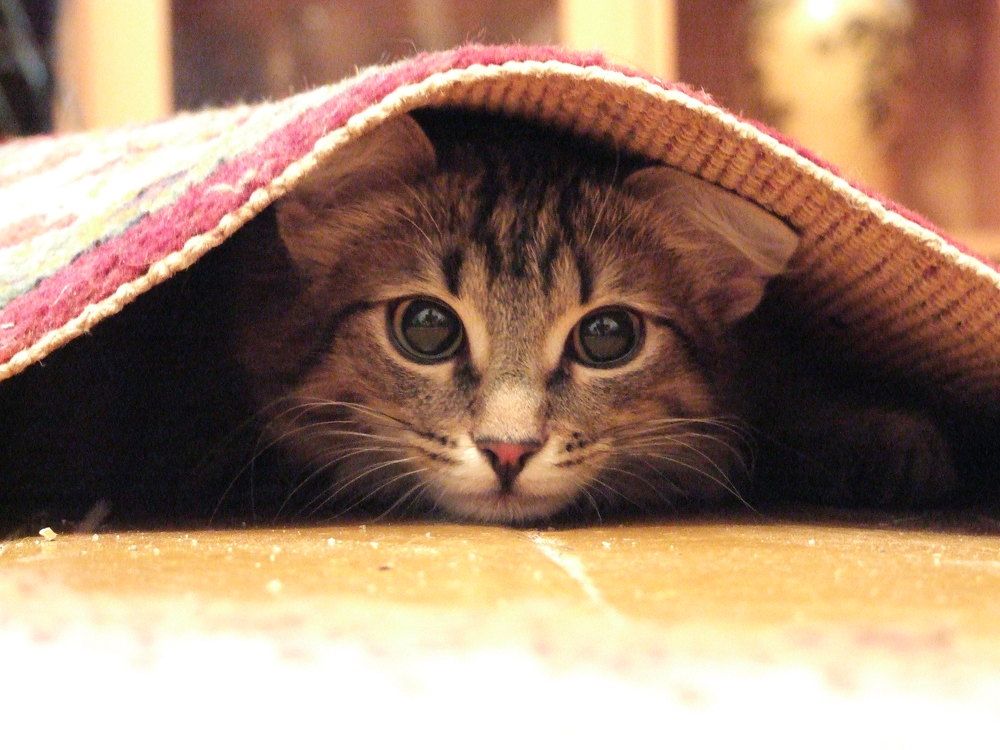 Photograph by Зотин Артём