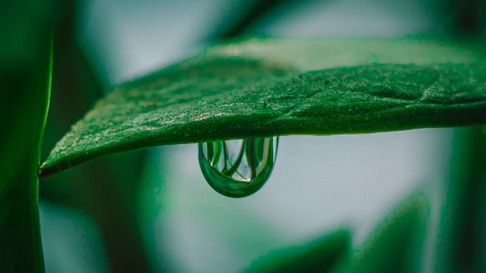 Photograph by Игорь Иванов