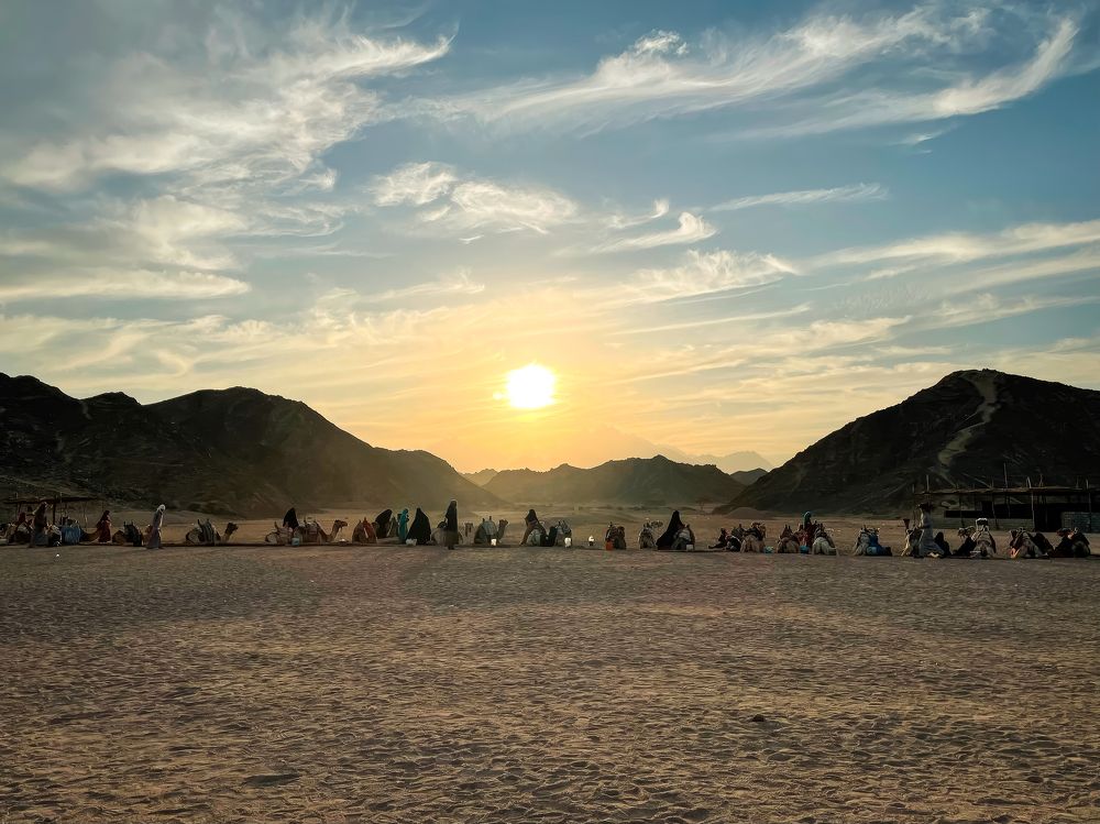 Photograph by Ольга Садилова