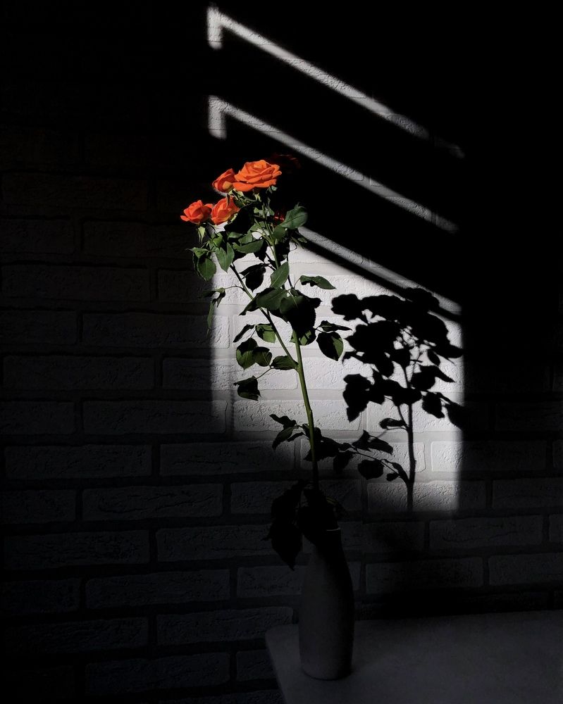 Photograph by Halina Mitsevich