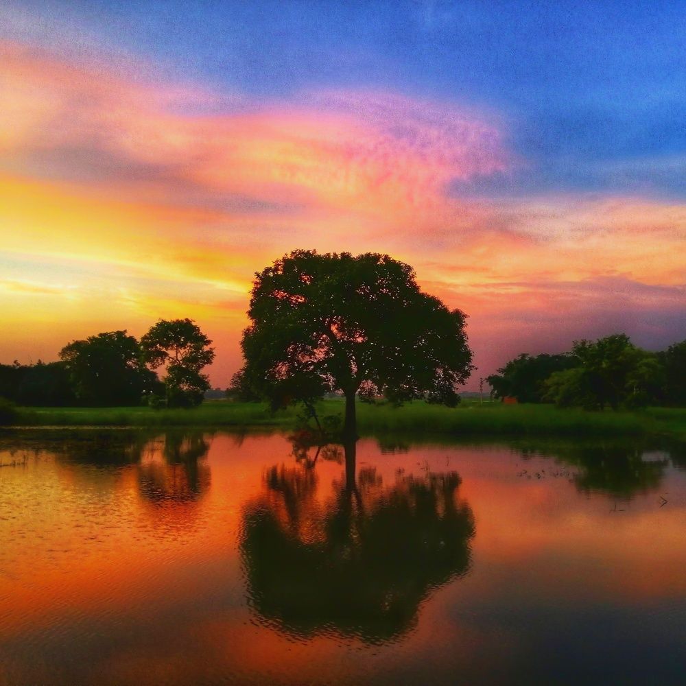 Photograph by Pandey Ji