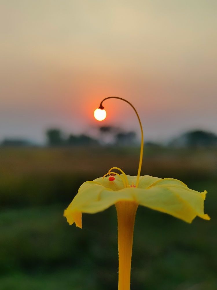 Photograph by Pandey Ji