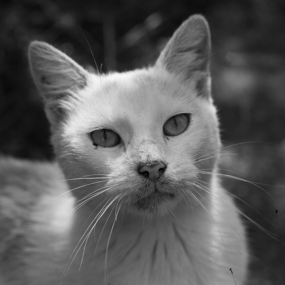 Photograph by Валентин