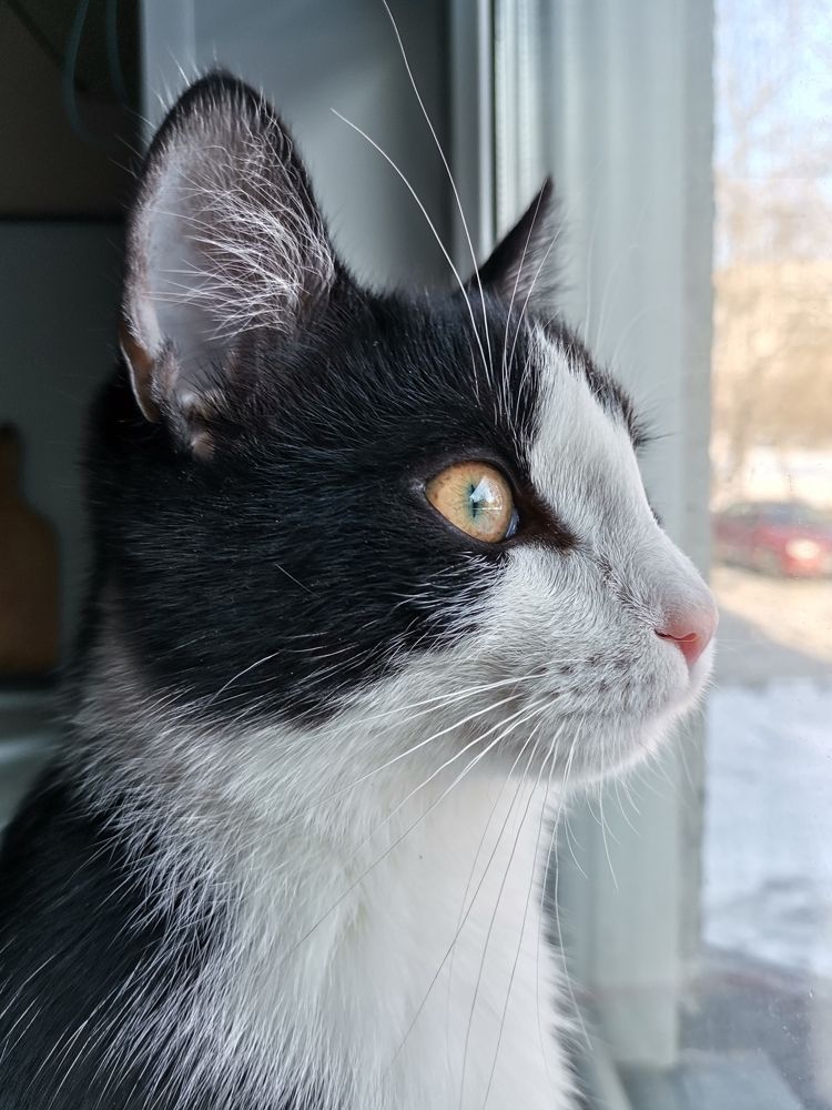 Photograph by Катульская Наталья